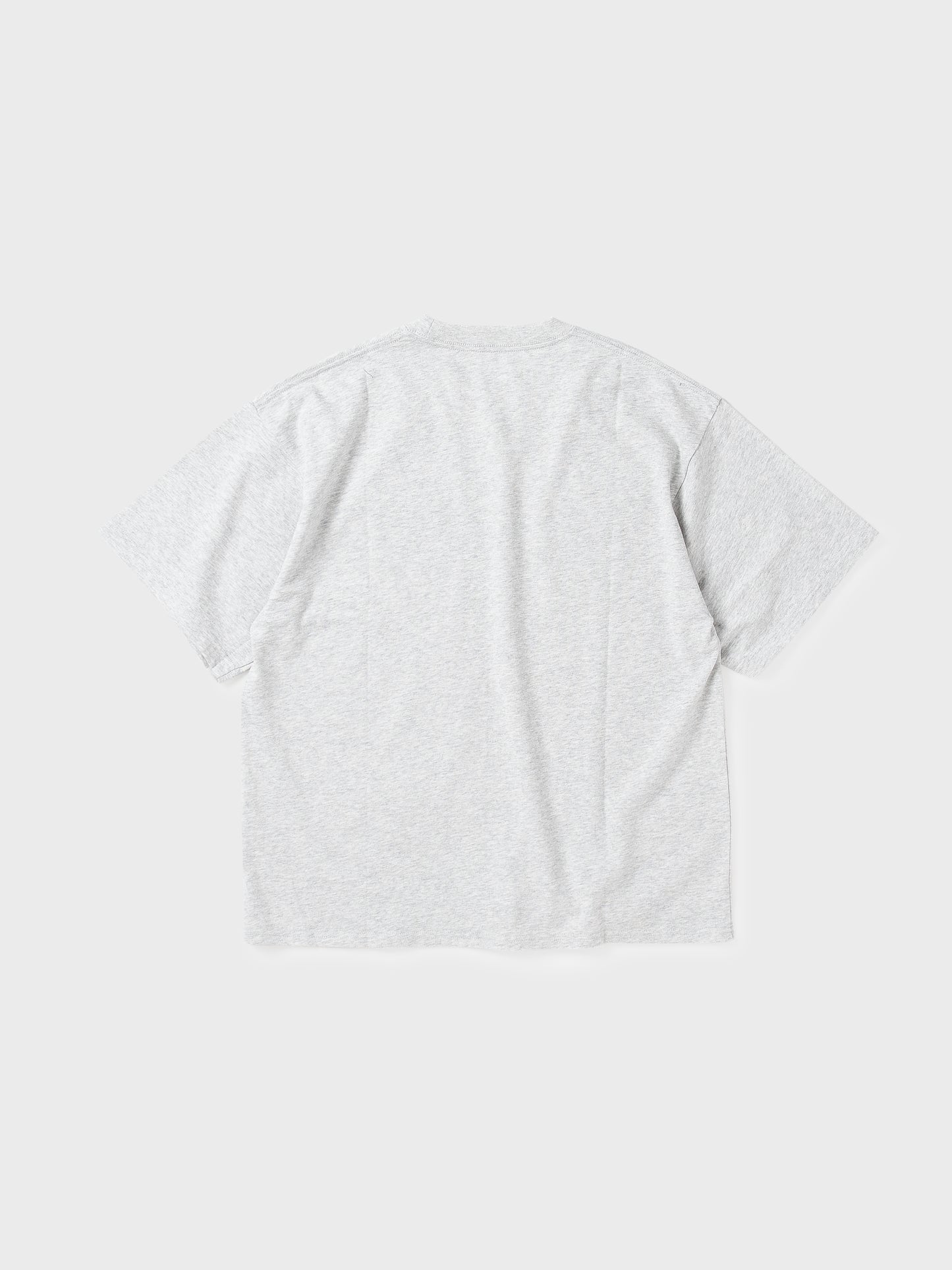 Swayed Youth Tee ASH GRAY